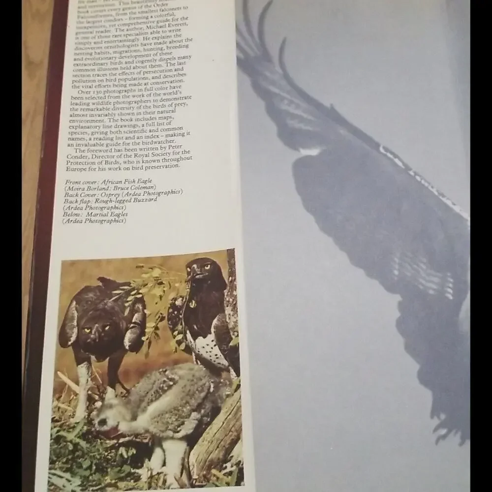 BIRDS OF PREY BY MICHAEL EVERETT‎